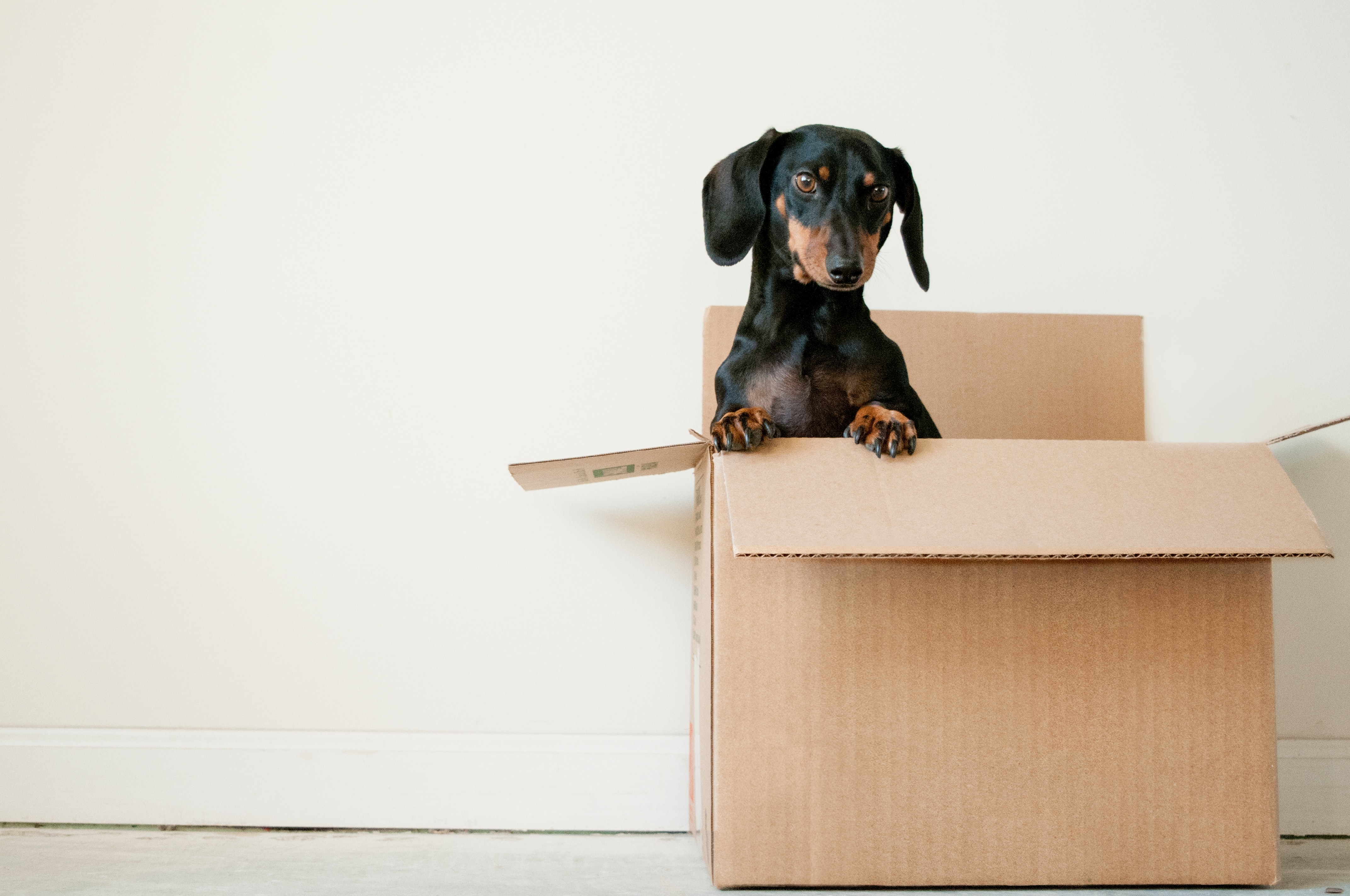 Moving Out of Apartment Checklist